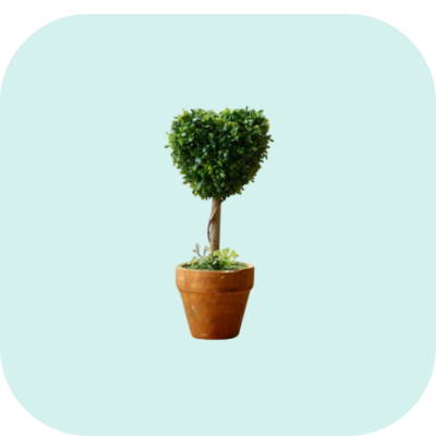 8” Heart-Shaped Artificial Boxwood Topiary Plant