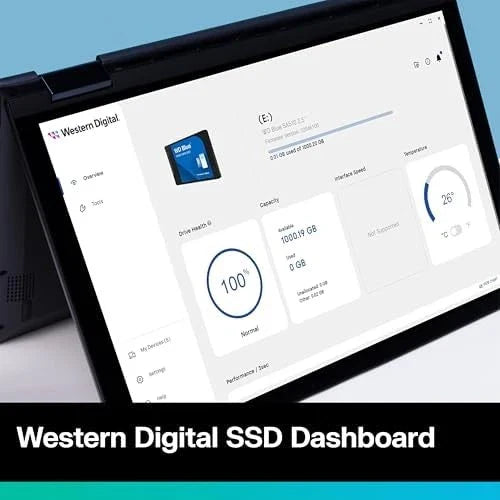 WD Blue 1TB SSD